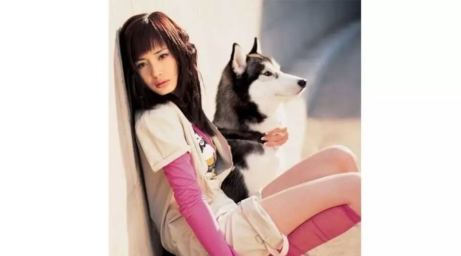 杨幂唐嫣的心头好 / 知道你懒 get起来吧 都帮你整理好了