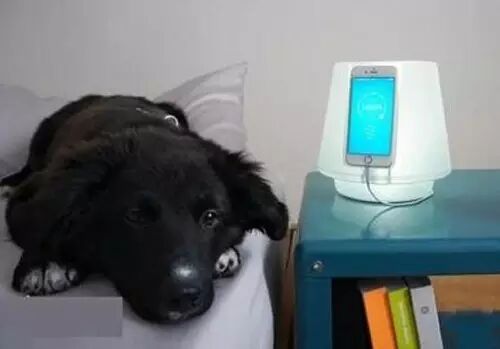 手机LED闪光灯秒变台灯 可适配iPhone6/6S、三星GalaxyS7/S7Edge等手机