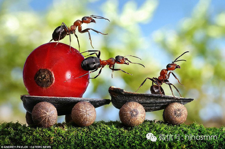 周文强老师《总裁商业智慧》课堂笔记全集！