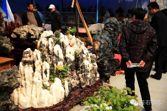 中国淄博第十届赏石博览会暨淄博赏石精品展开幕