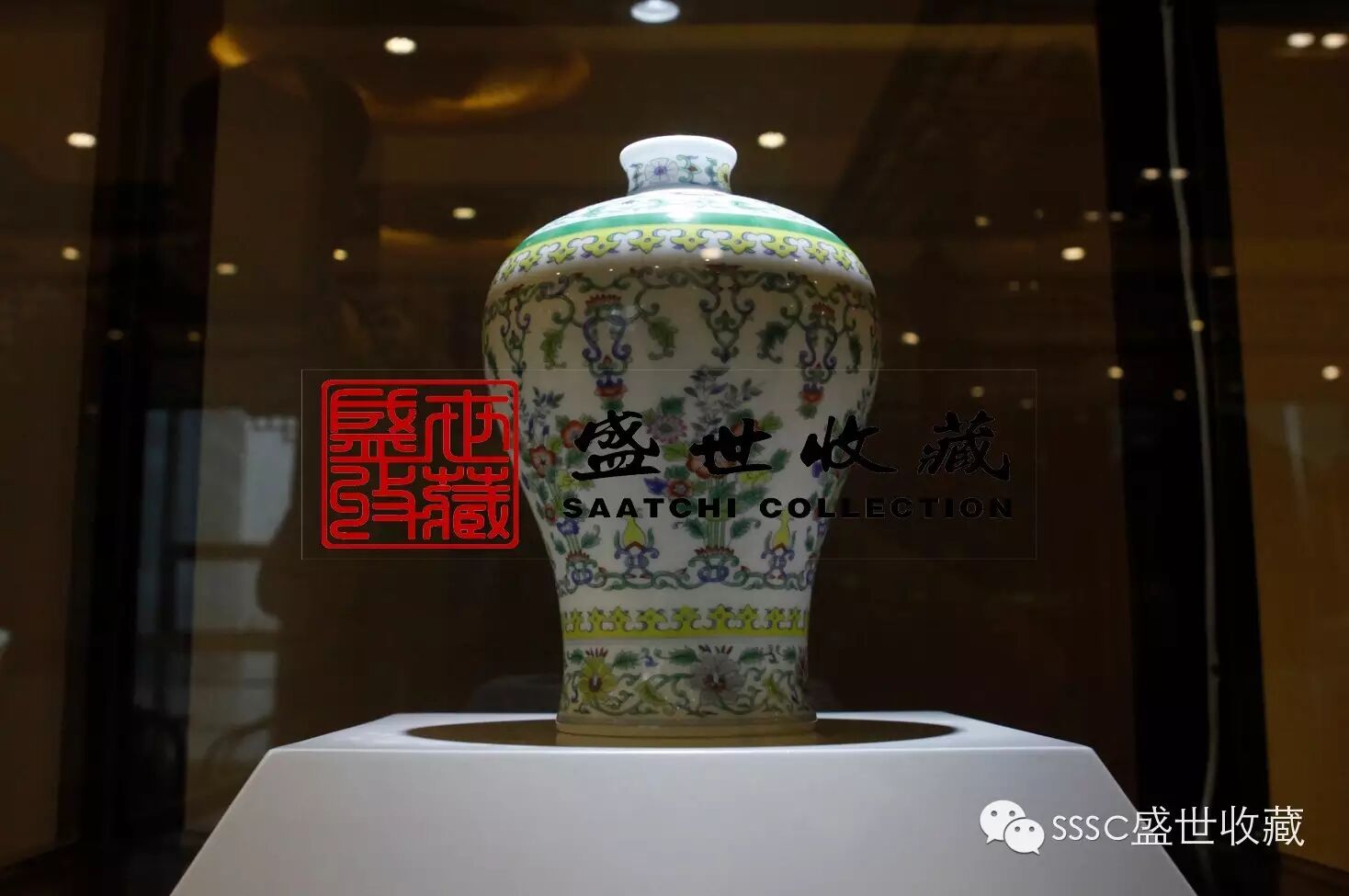 chinese Dou Cai picking pattern plum vase