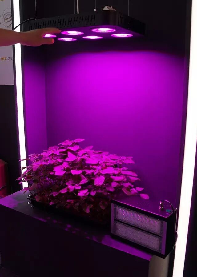 【总结】从光亚展看LED照明行业发展新风向