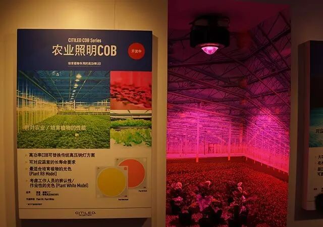 【总结】从光亚展看LED照明行业发展新风向