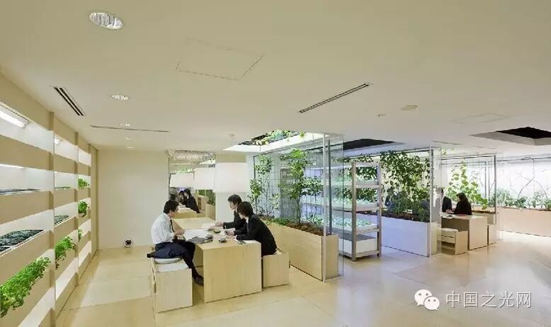 太向往了！日本东京的“都市农场”，把农田搬进了办公室