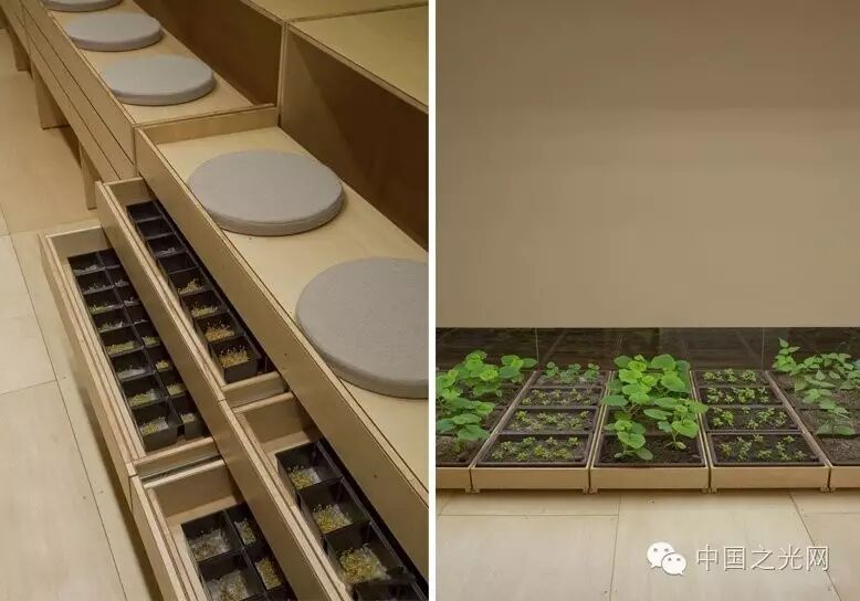 太向往了！日本东京的“都市农场”，把农田搬进了办公室
