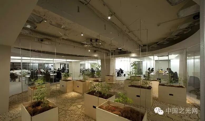 太向往了！日本东京的“都市农场”，把农田搬进了办公室