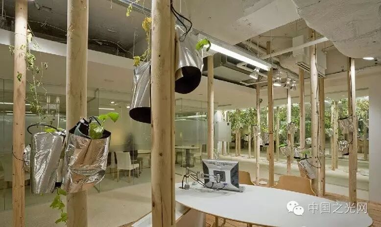 太向往了！日本东京的“都市农场”，把农田搬进了办公室