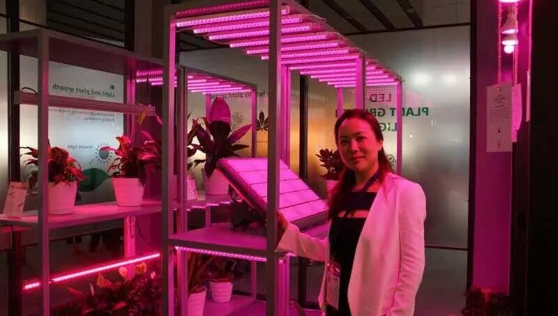 【足不出户逛展会】光亚展首日看点