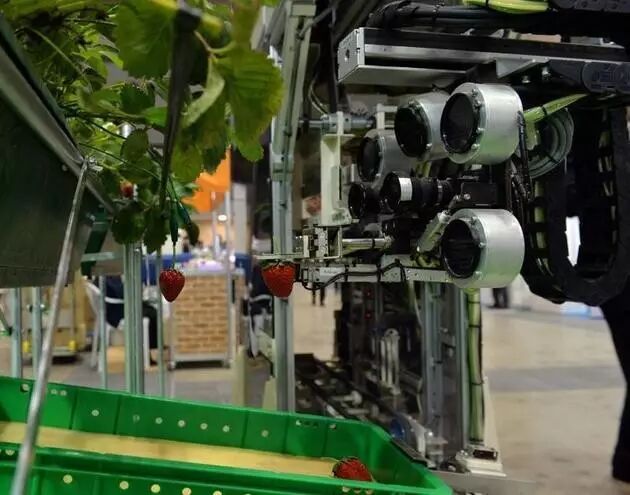 普通农场out了这家公司将建成世界上首个机器人农场