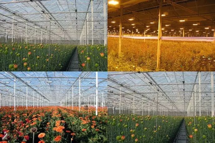 LED助力未来农场 上天下海轻松种菜去