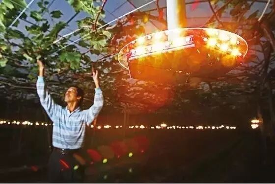 LED助力未来农场 上天下海轻松种菜去