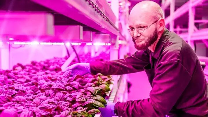 LED助力未来农场 上天下海轻松种菜去