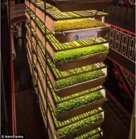 LED助力未来农场 上天下海轻松种菜去