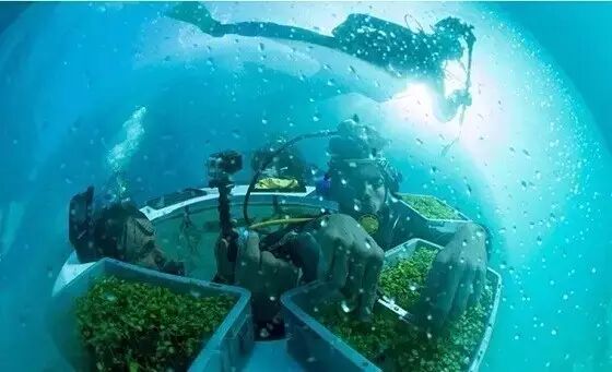 LED助力未来农场 上天下海轻松种菜去