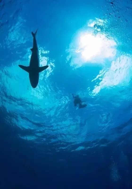 你知道光，可你不曾拥有海洋