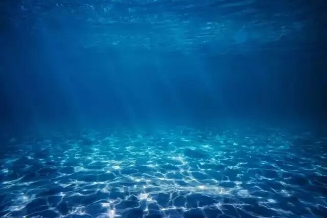 你知道光，可你不曾拥有海洋