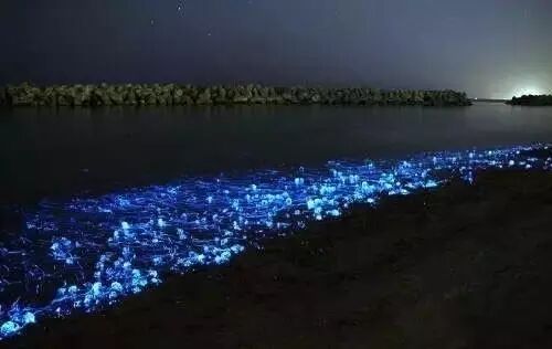 你知道光，可你不曾拥有海洋