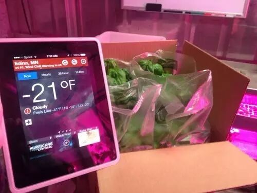 Freight Farms：货柜变身农场 借LED等高科技种植蔬菜创造超强吸金力