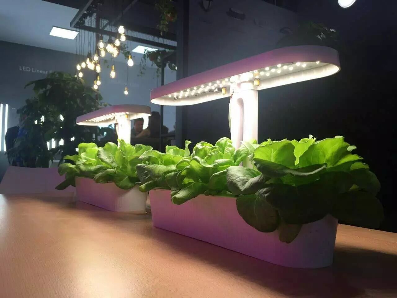 光亚展专访——庄诚照明：面向价值，了解用户需求