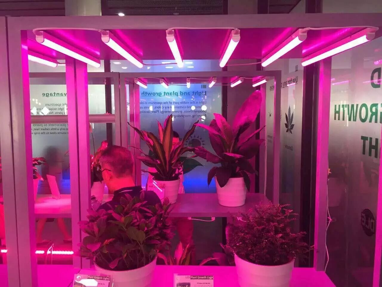 【总结】从光亚展看LED照明行业发展新风向