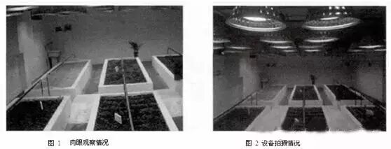 关于植物工厂智能补光系统的探讨（内含14种植物的光源配比参数）