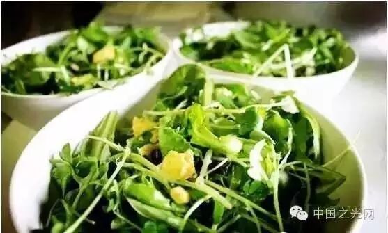 从生产到销售，带你全方位了解植物工厂