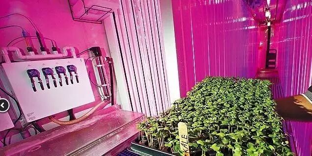 美军测试LED灯水耕蔬果 未来潜舰出海有望吃上鲜蔬