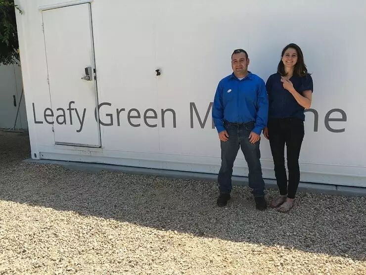 在种菜这事上，Google也很认真