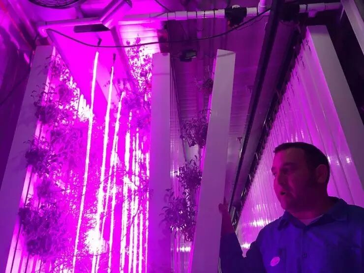 在种菜这事上，Google也很认真