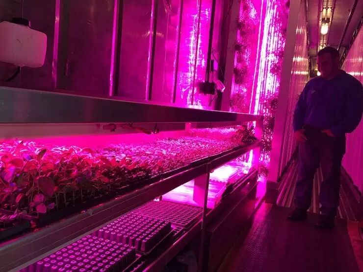 在种菜这事上，Google也很认真