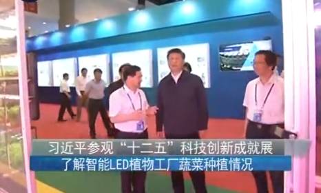 从生产到销售，带你全方位了解植物工厂