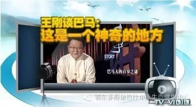 王刚谈巴马:这是一个生气的地方(视频)