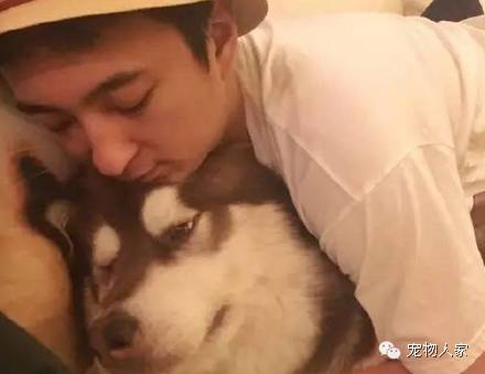 王思聪宠爱狗狗的方式有点特别,网友大呼:放过名媛,请...