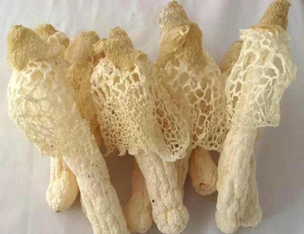 一张极其珍贵的表----蔬菜=中药哦!【养生保健】 - 开心 - 开心博客 一张极其珍贵的表----蔬菜=中药哦! - 开心*备用* - 开心的备用博客