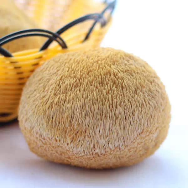 一张极其珍贵的表----蔬菜=中药哦!【养生保健】 - 开心 - 开心博客 一张极其珍贵的表----蔬菜=中药哦! - 开心*备用* - 开心的备用博客
