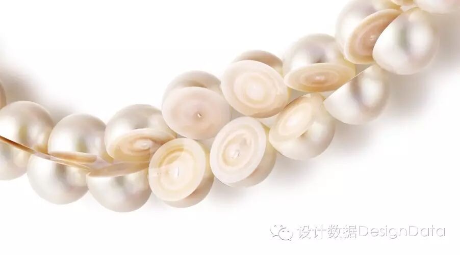 Jewel Data  Hardcore Akoya 硬核小钢炮