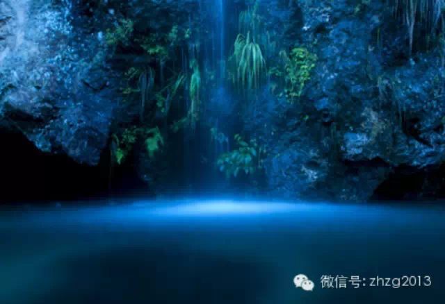 苏醒的心灵