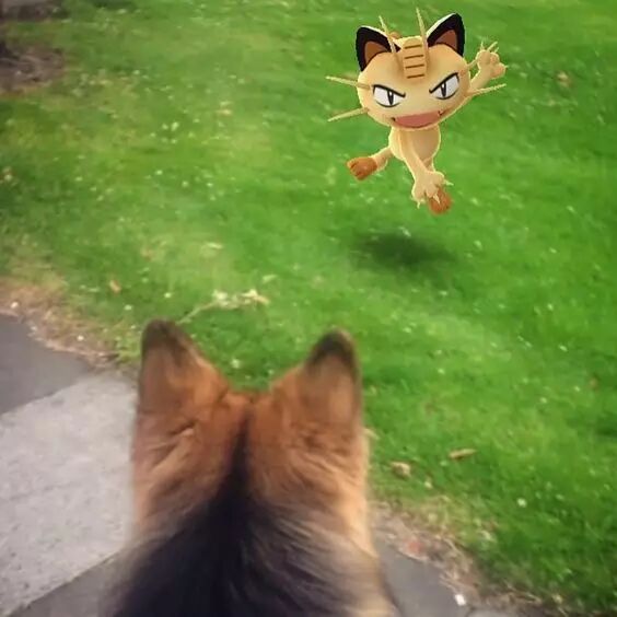 五大虚拟现实领域的明星应用