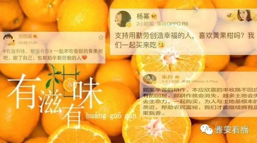 天了噜!杨幂、刘恺威都在帮着卖石棉黄果柑!