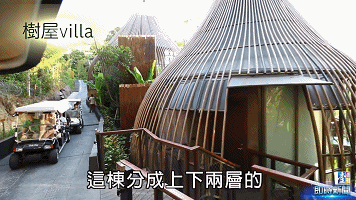 本部落包括治疗师,创作者,建筑师和发明家.