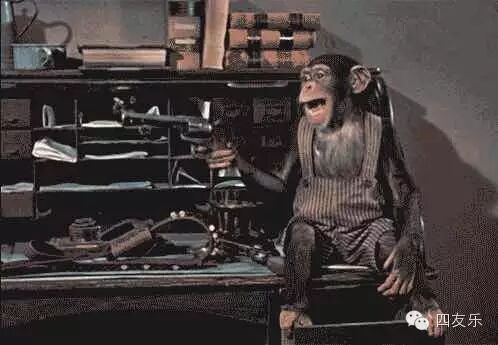 单身还没有脱,二胎还没生,情调没有找对,快到《一品天下自助火锅城》吧!-怀孕期