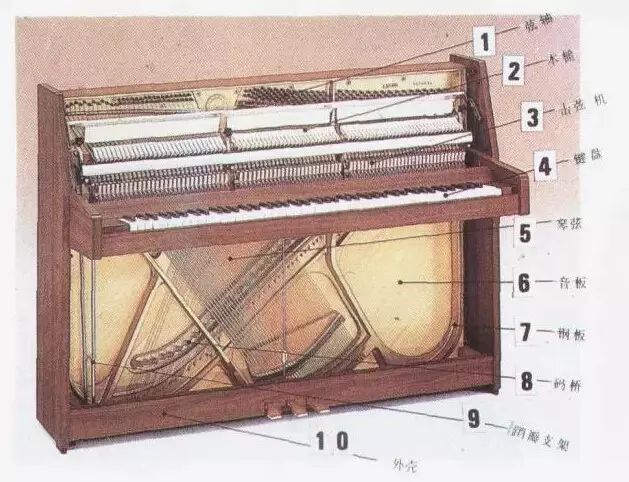 【转载】学琴必知丨钢琴各个部件的作用及对音质的影响