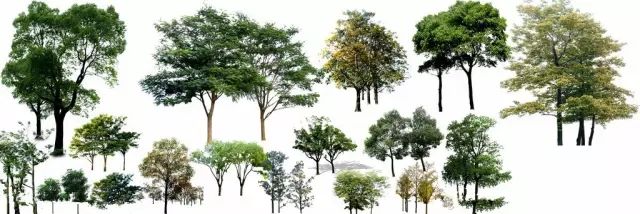 番龍眼木地板價(jià)格實(shí)木_久盛番龍眼地板_實(shí)木仿古地板番龍眼