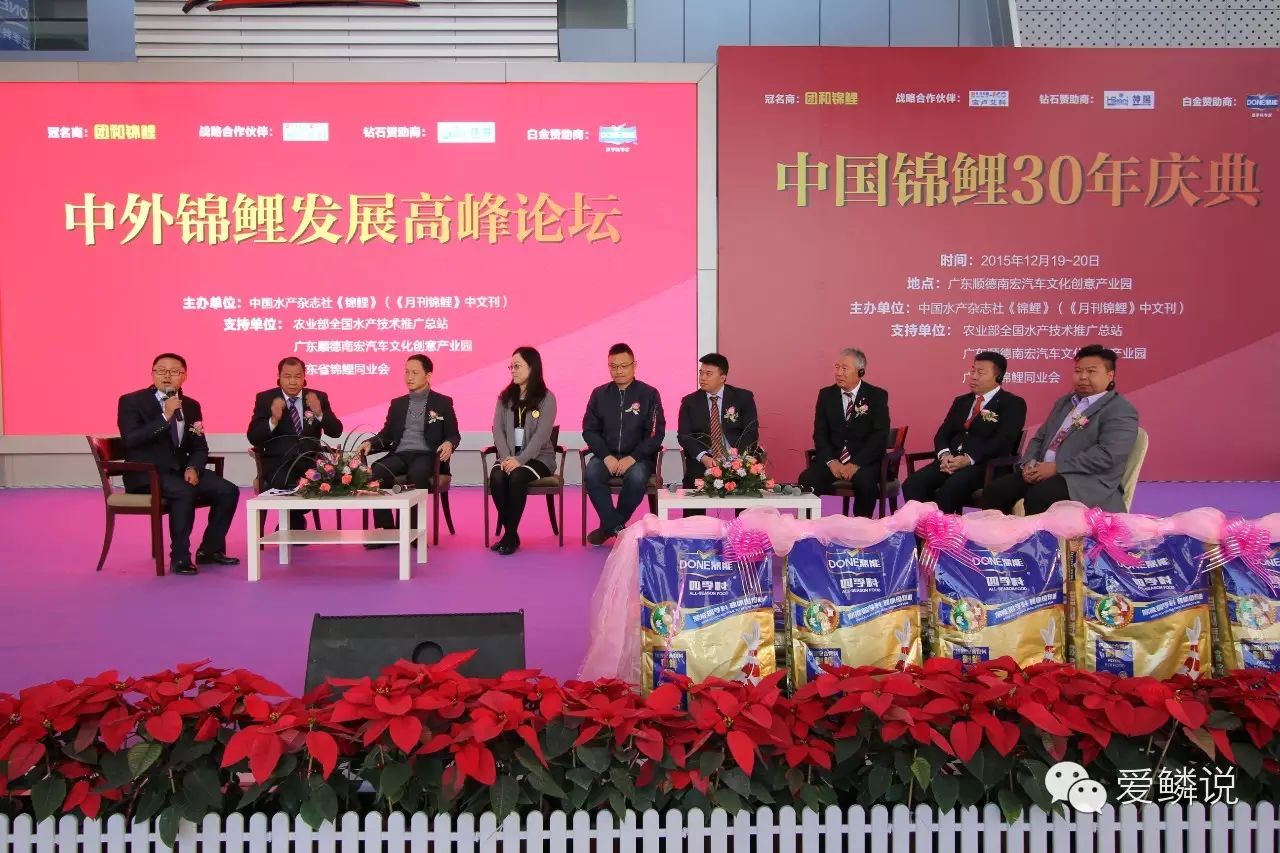 锦鲤场周团章 深圳共鳞实业有限公司董事长黄志坚 台湾欣昌锦鲤钟莹莹