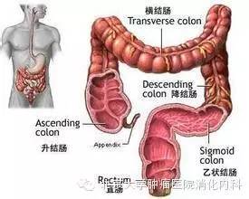 [第十届中国老年肿瘤学大会]李健教授:转移性结直肠癌维...