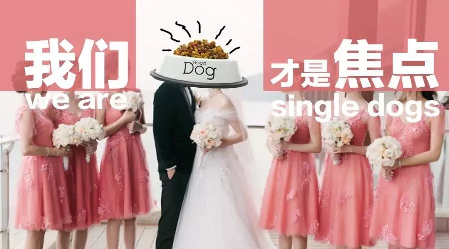 陈乔恩+钟欣桐,奔四老伴娘团完爆新娘,成功搅局!