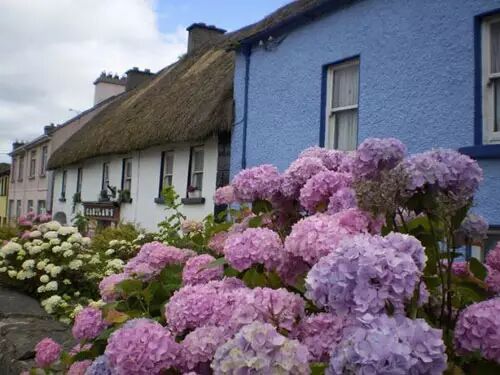 生态美宅,生态住宅14