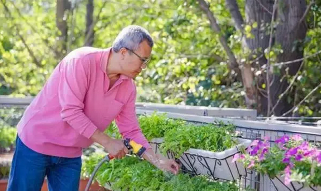 转:“梦幻”集装箱农场详细的规划设计 - liuquanren - liuquanren的博客 转:“梦幻”集装箱农场详细的规划设计 - liuquanren - liuquanren的博客