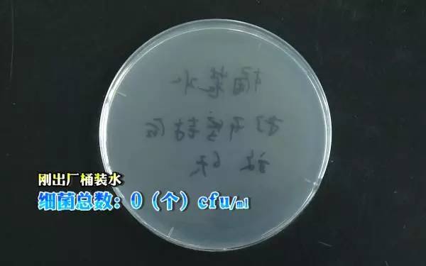 饮水机_饮水机多少钱一台_饮水机价格及图片
