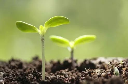 游戏大厂的冷门游戏_游戏大游戏_大多数游戏